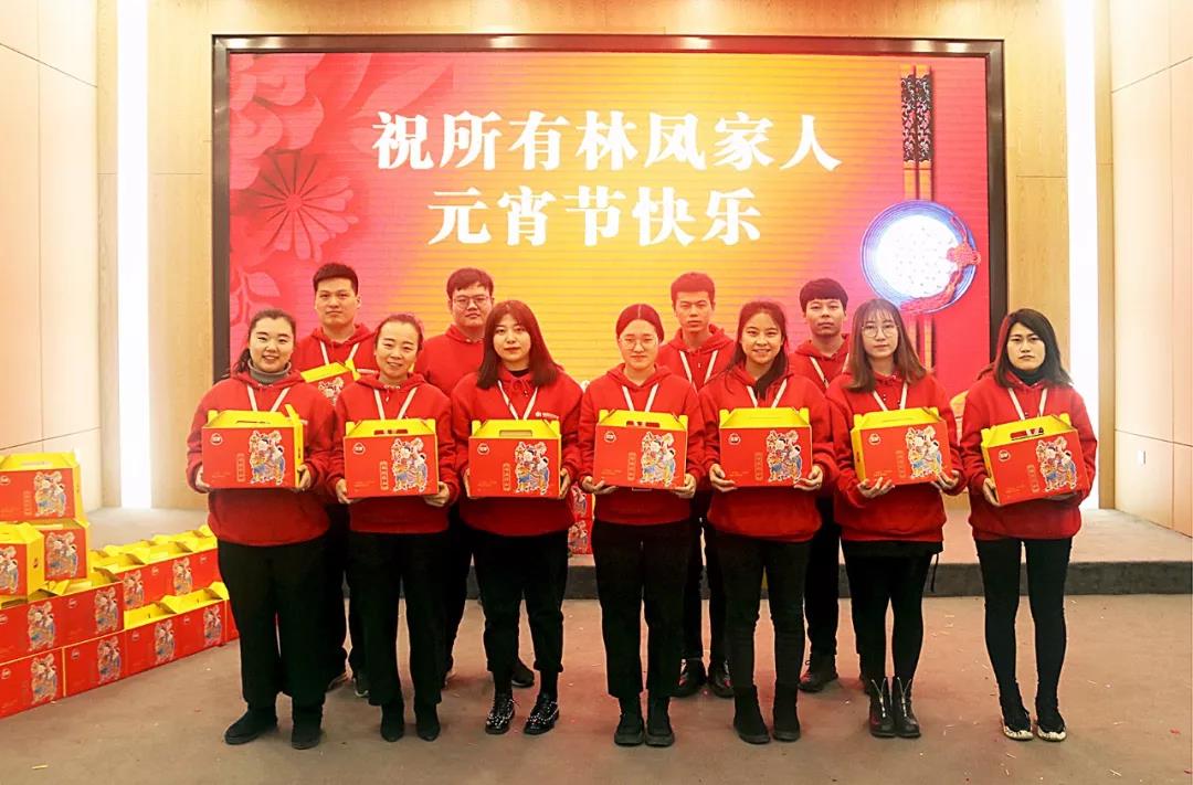 林鳳裝飾元宵節快樂 林鳳裝飾元宵節快樂