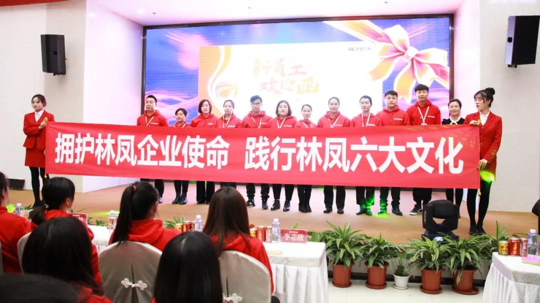 勇者心逐夢路林鳳裝飾11月總結會迎新會